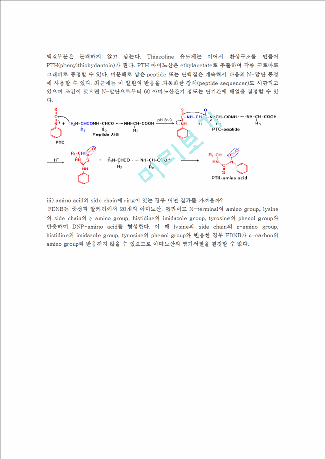 [실험] Dipeptide의 아미노산 서열 결정   (8 )